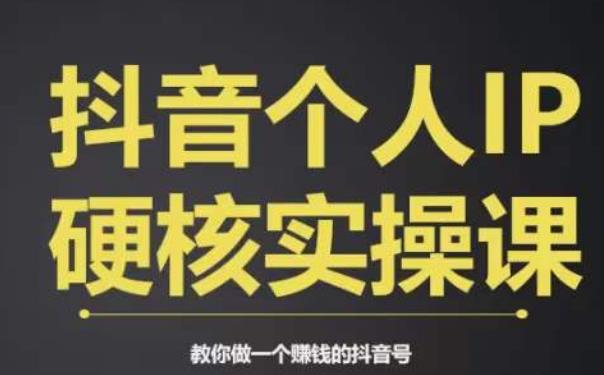 个人IP创富系统实战课，商业定位，流量打造，短视频变现，教你做个赚钱的抖音号| 网创圈