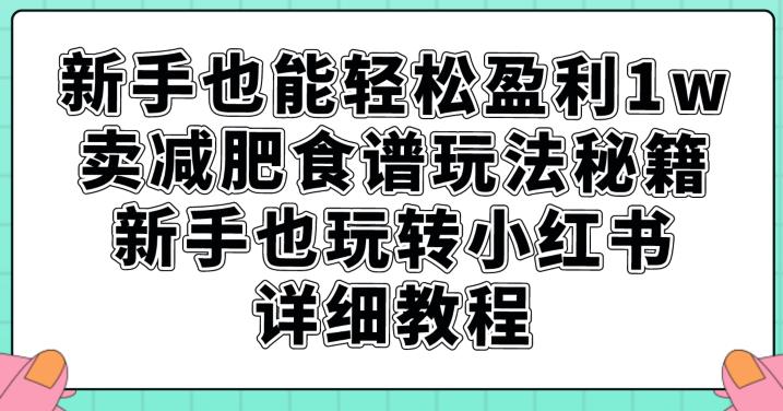 新手也能轻松盈利1w，卖减肥食谱玩法秘籍，新手也玩转小红书详细教程【揭秘】| 网创圈