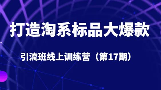 打造淘系标品大爆款引流班线上训练营（第17期）5天直播授课| 网创圈