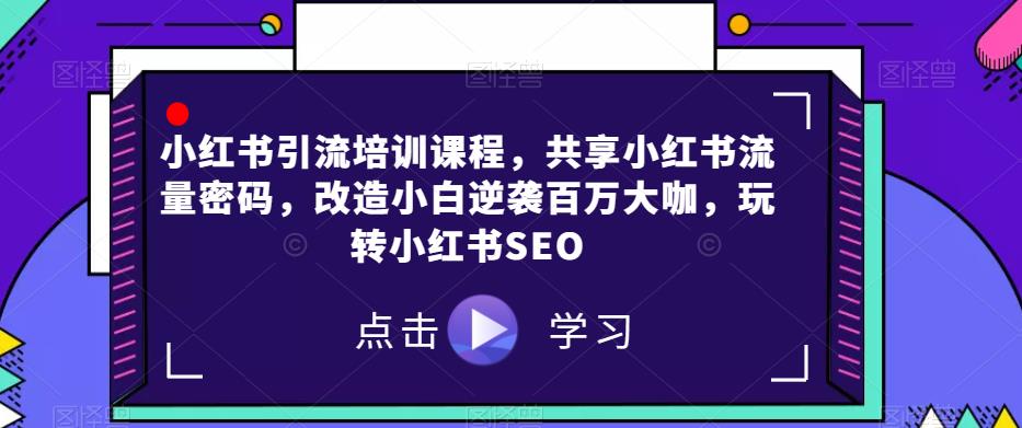 小红书引流培训课程，共享小红书流量密码，改造小白逆袭百万大咖，玩转小红书SEO| 网创圈