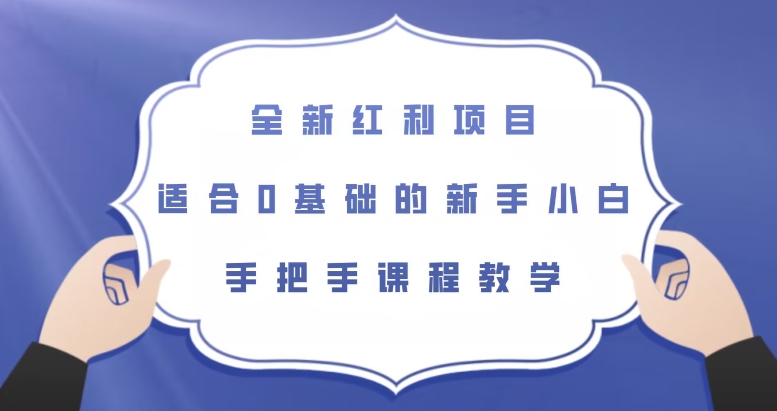 全新红利项目，适合0基础的新手小白，手把手课程教学【揭秘】| 网创圈