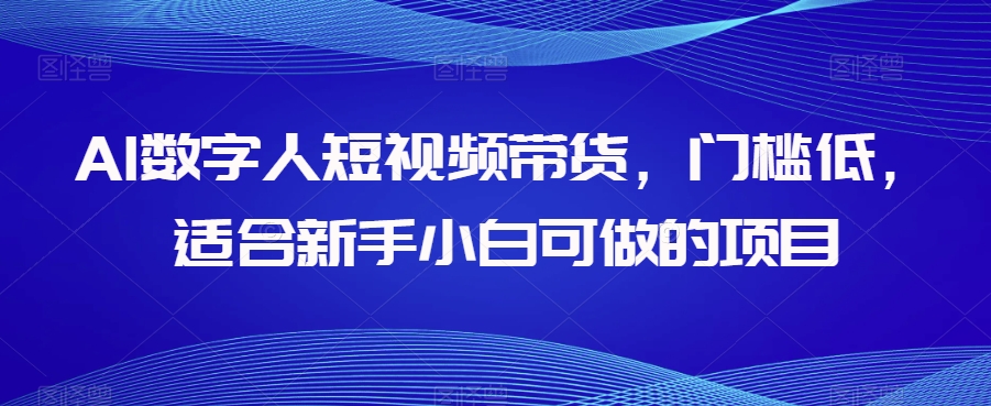 AI数字人短视频带货，门槛低，适合新手小白可做的项目| 网创圈