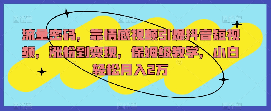 流量密码，靠情感视频引爆抖音短视频，涨粉到变现，保姆级教学，小白轻松月入2万【揭秘】| 网创圈