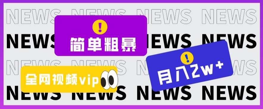 简单粗暴零成本，高回报，全网视频VIP掘金项目，月入2万＋【揭秘】| 网创圈