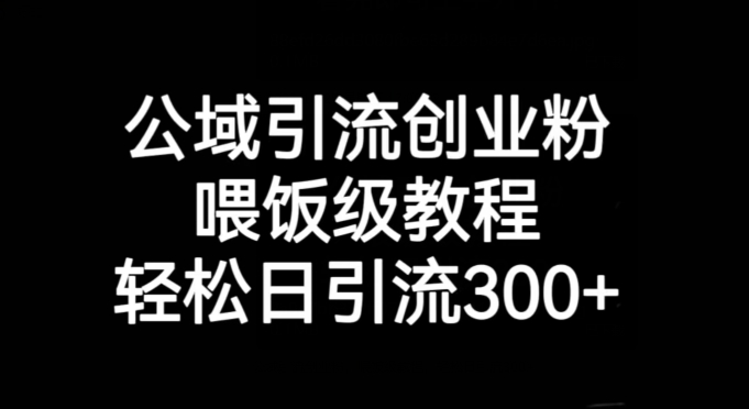 公域引流创业粉，喂饭级教程，轻松日引流300+【揭秘】| 网创圈