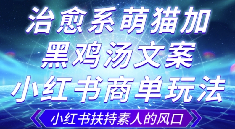 治愈系萌猫加+黑鸡汤文案，小红书商单玩法，3~10天涨到1000粉，一单200左右| 网创圈