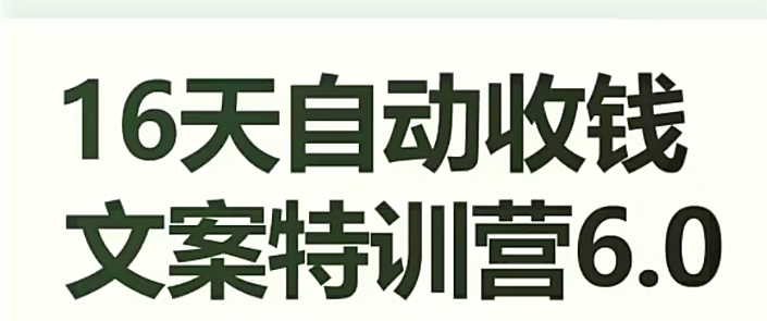 16天自动收钱文案特训营6.0，学会儿每天自动咔咔收钱| 网创圈