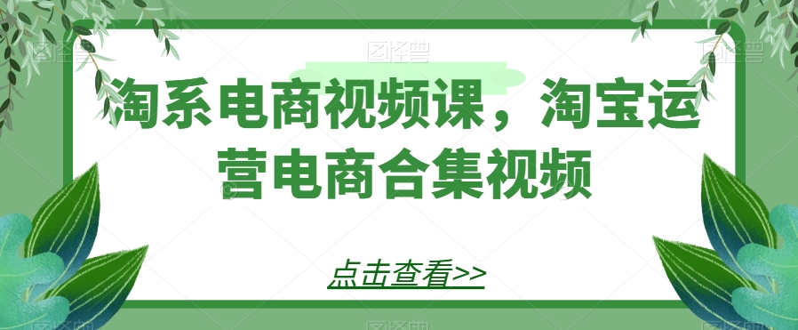 淘系电商视频课，淘宝运营电商合集视频| 网创圈