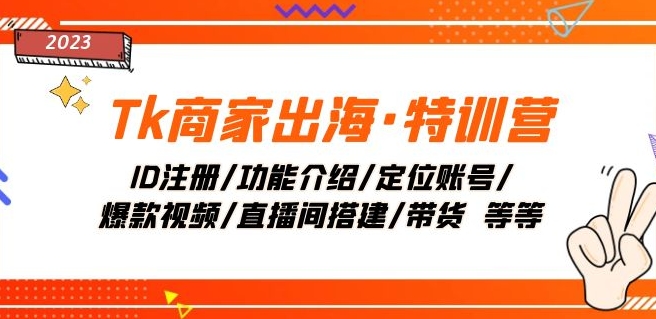 Tk商家出海·特训营：ID注册/功能介绍/定位账号/爆款视频/直播间搭建/带货| 网创圈