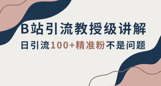 B站引流教授级讲解，细节满满，日引流100+精准粉不是问题【揭秘】| 网创圈