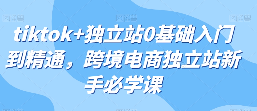 tiktok+独立站0基础入门到精通，跨境电商独立站新手必学课| 网创圈