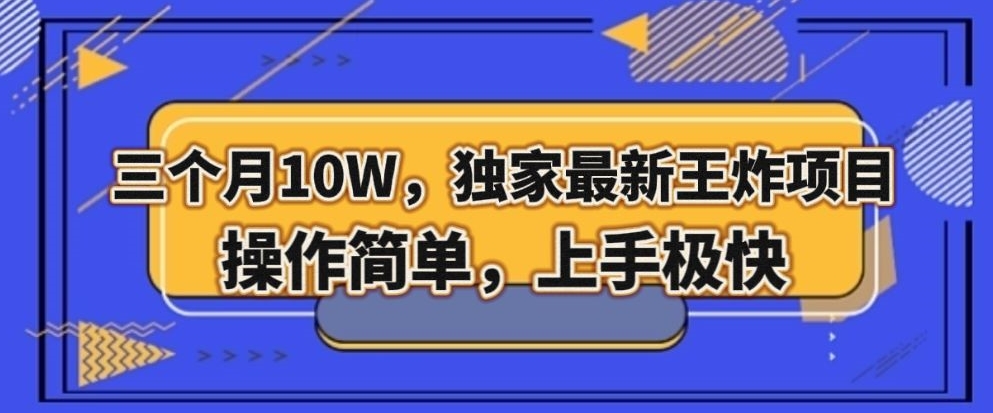 三个月10W，独家最新王炸项目！操作简单，上手极快【揭秘】| 网创圈