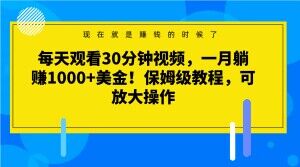 每天观看30分钟视频，一月躺赚1000+美金！保姆级教程，可放大操作【揭秘】| 副业网