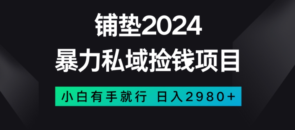 暴力私域捡钱项目，小白无脑操作，日入2980【揭秘】| 网创圈