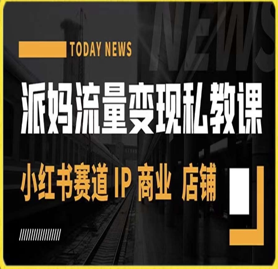 派妈流量变现私教课，小红书赛道IP  商业  店铺| 网创圈