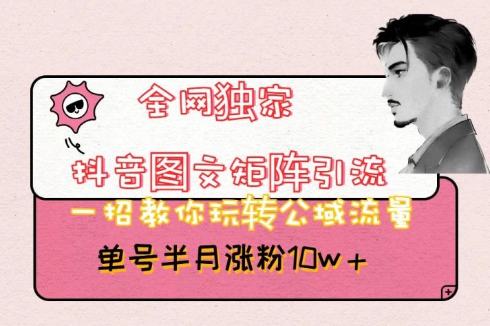 全网独家抖音图文矩阵引流，一招教你玩转公域流量，单号半月涨粉10w+【揭秘】| 副业网