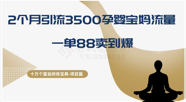 十万个富翁修炼宝典之13.2个月引流3500孕婴宝妈流量，一单88卖到爆| 网创圈