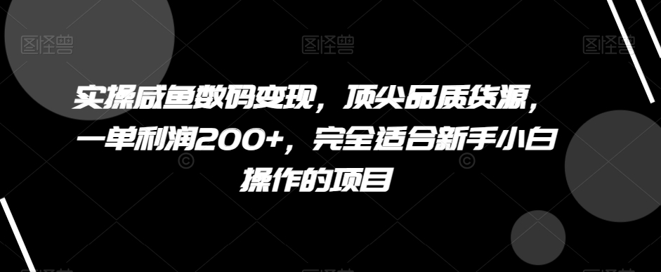 实操咸鱼数码变现，顶尖品质货源，一单利润200+，完全适合新手小白操作的项目【揭秘】| 网创圈