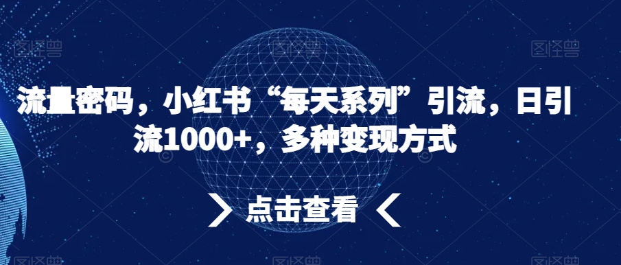 流量密码，小红书“每天系列”引流，日引流1000+，多种变现方式【揭秘】| 网创圈