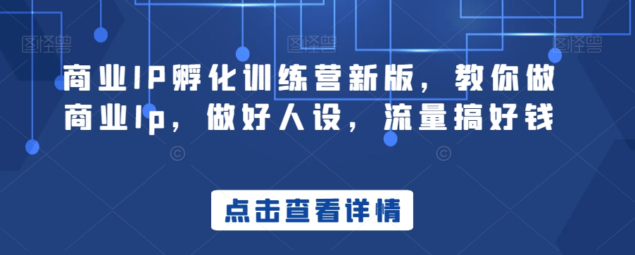 商业IP孵化训练营新版，教你做商业Ip，做好人设，流量搞好钱| 网创圈