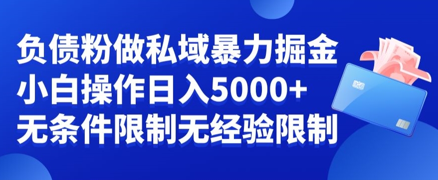 负债粉私域暴力掘金，小白操作入5000，无经验限制，无条件限制| 网创圈