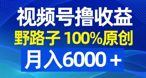 视频号野路子撸收益，100%原创，条条爆款，月入6000＋| 网创圈