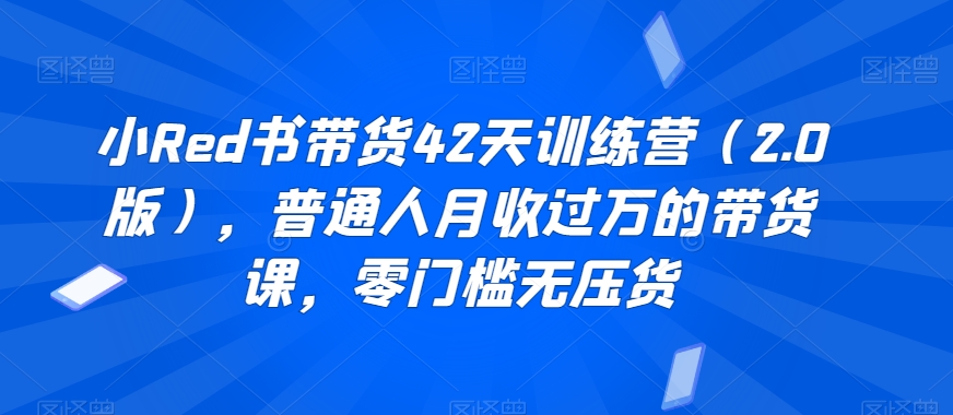 小Red书带货42天训练营（2.0版），普通人月收过万的带货课，零门槛无压货| 网创圈