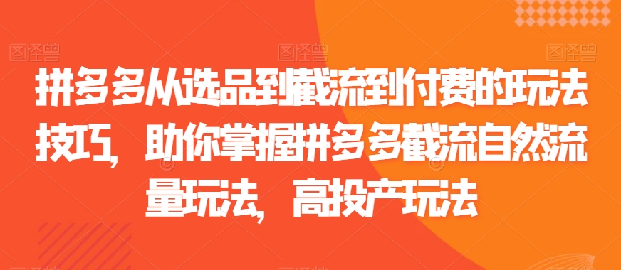 拼多多从选品到截流到付费的玩法技巧，助你掌握拼多多截流自然流量玩法，高投产玩法| 网创圈