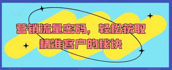 营销流量密码，轻松获取精准客户的秘诀| 网创圈