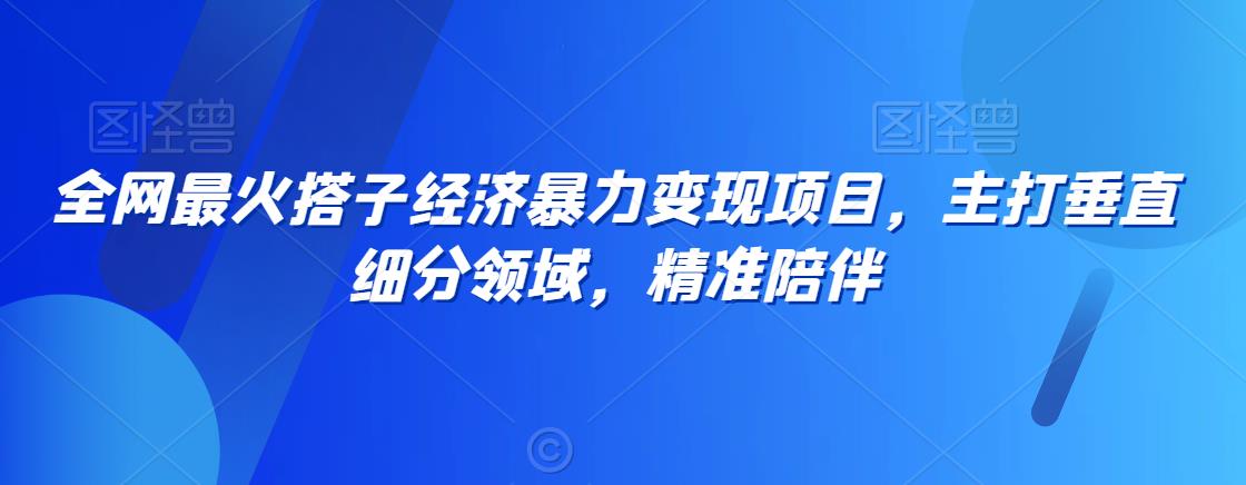 全网最火搭子经济暴力变现项目，主打垂直细分领域，精准陪伴| 网创圈