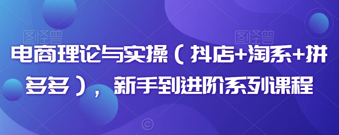电商理论与实操（抖店+淘系+拼多多），新手到进阶系列课程| 网创圈