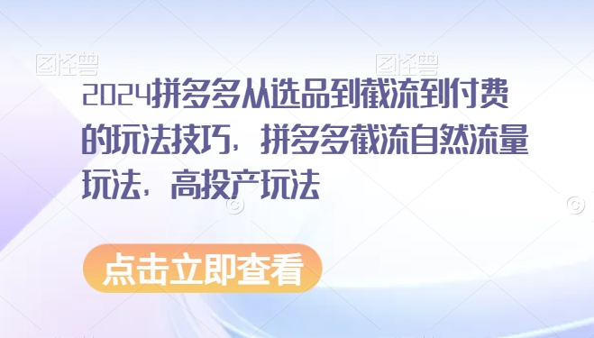 2024拼多多从选品到截流到付费的玩法技巧，拼多多截流自然流量玩法，高投产玩法| 网创圈