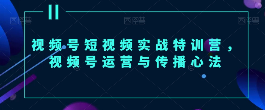视频号短视频实战特训营，视频号运营与传播心法| 网创圈