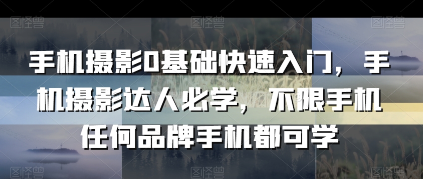 手机摄影0基础快速入门，手机摄影达人必学，不限手机任何品牌手机都可学| 网创圈