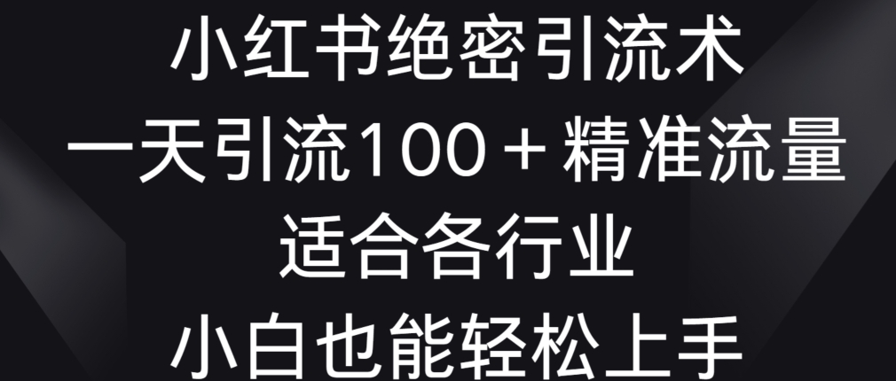小红书绝密引流术，一天引流100+精准流量，适合各个行业，小白也能轻松上手| 网创圈