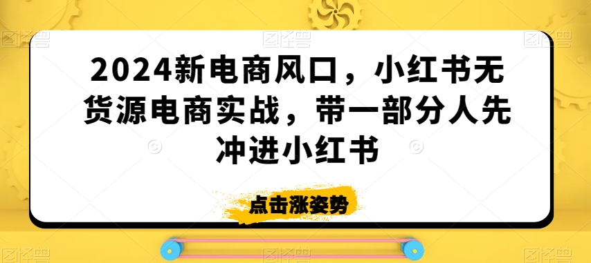 2024新电商风口，小红书无货源电商实战，带一部分人先冲进小红书| 网创圈