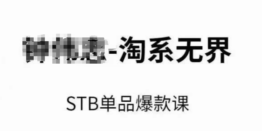 淘系无界STB单品爆款课（2024），付费带动免费的核心逻辑，万相台无界关键词推广/精准人群的核心| 网创圈
