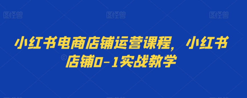 小红书电商店铺运营课程，小红书店铺0-1实战教学| 网创圈
