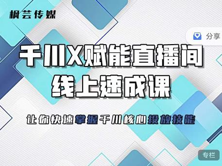 枫芸传媒-线上千川提升课，提升千川认知，提升千川投放效果| 网创圈