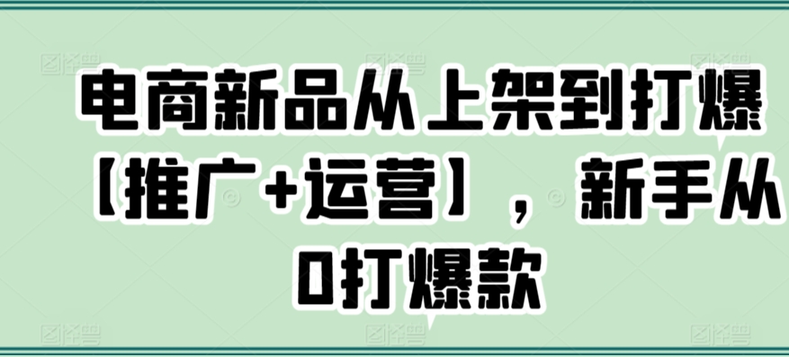 电商新品从上架到打爆【推广+运营】，新手从0打爆款| 网创圈