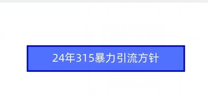 24年315暴力引流方针| 网创圈