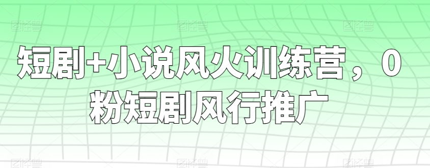 短剧+小说风火训练营，0粉短剧风行推广| 网创圈