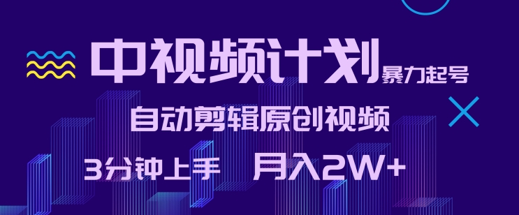 中视频计划暴力起号，自动剪辑原创视频，3分钟上手，月入2W+| 网创圈