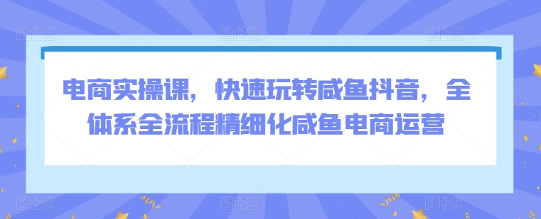 电商实操课，快速玩转咸鱼抖音，全体系全流程精细化咸鱼电商运营| 网创圈
