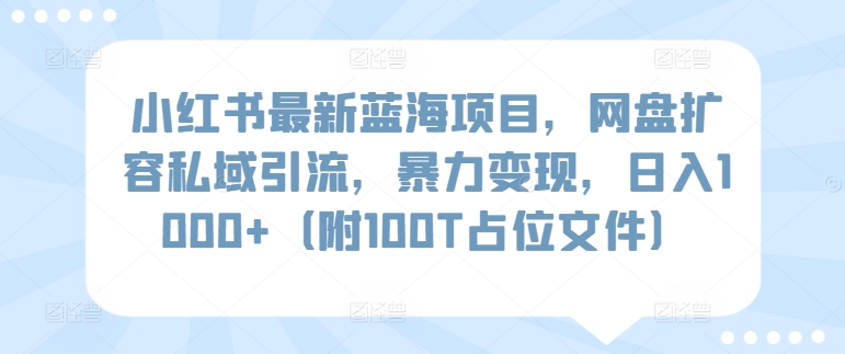 小红书最新蓝海项目，网盘扩容私域引流，暴力变现，日入1000+（附100T占位文件）| 网创圈