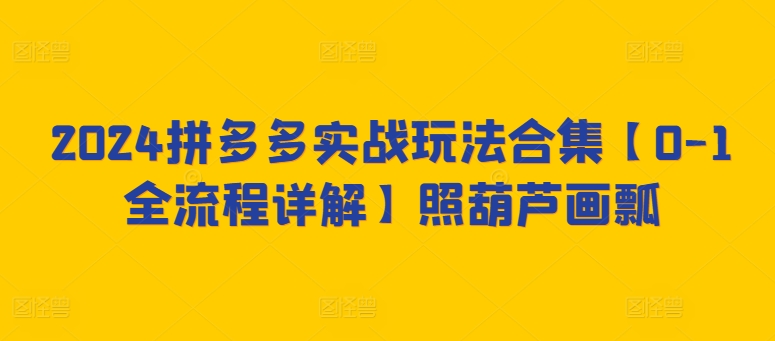 2024拼多多实战玩法合集【0-1全流程详解】照葫芦画瓢| 网创圈