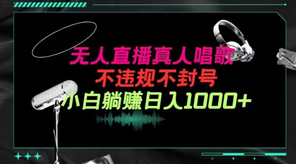 抖音24小时无人直播音乐，不违规，不封号纯撸音浪，小白实操当天日入1000+| 网创圈