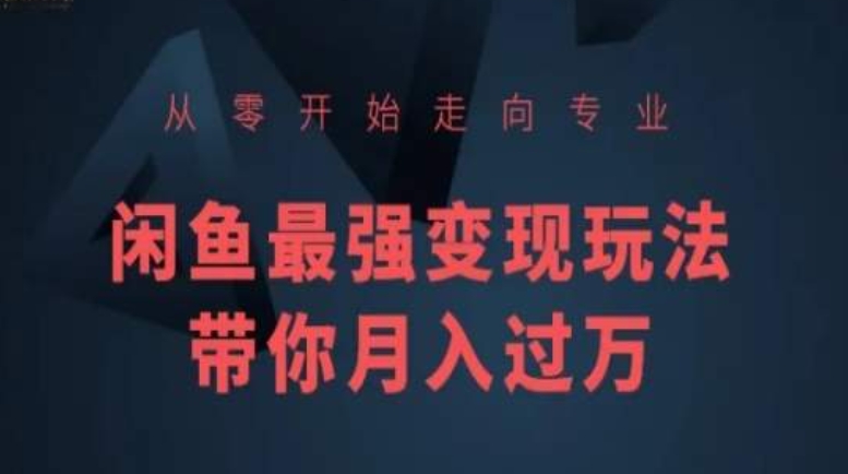 从零开始走向专业，闲鱼最强变现玩法带你月入过万| 网创圈