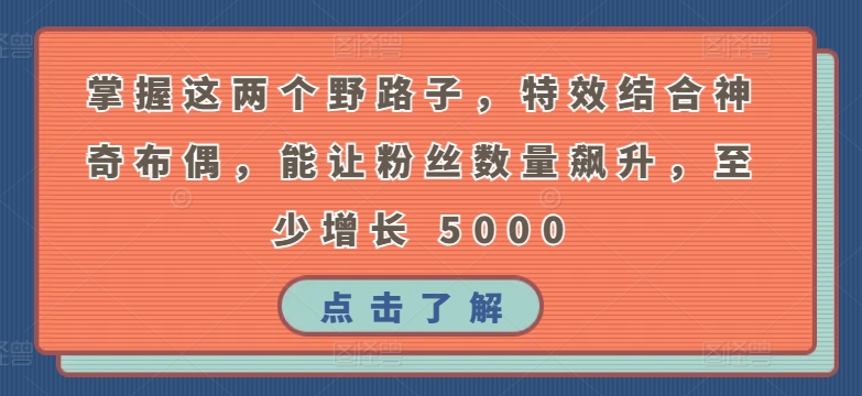 掌握这两个野路子，特效结合神奇布偶，能让粉丝数量飙升，至少增长 5000| 网创圈