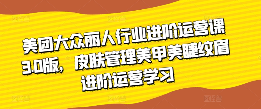 美团大众丽人行业进阶运营课3.0版，皮肤管理美甲美睫纹眉进阶运营学习| 网创圈
